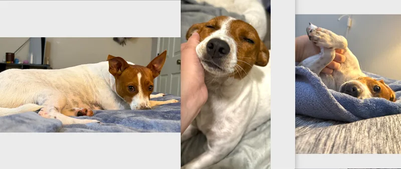 Penny thumbnail 3