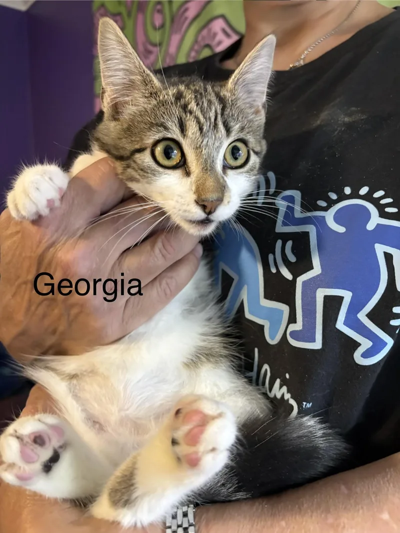 George thumbnail 2
