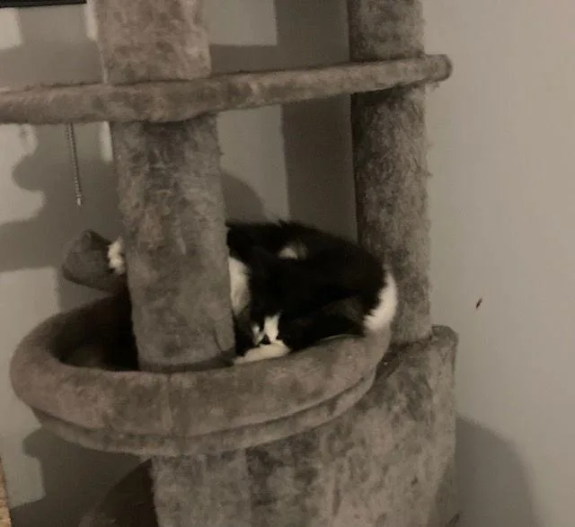 Fran Bonded With Mallory