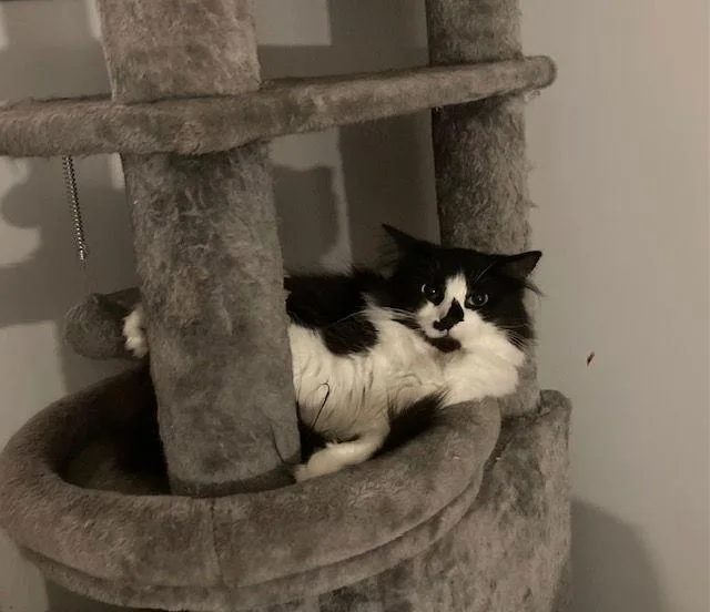 Fran Bonded With Mallory thumbnail 2