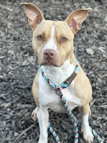 Mama Girl thumbnail 2