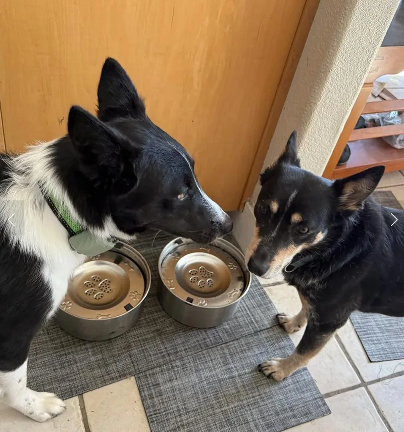 Dr. Pepper thumbnail 2