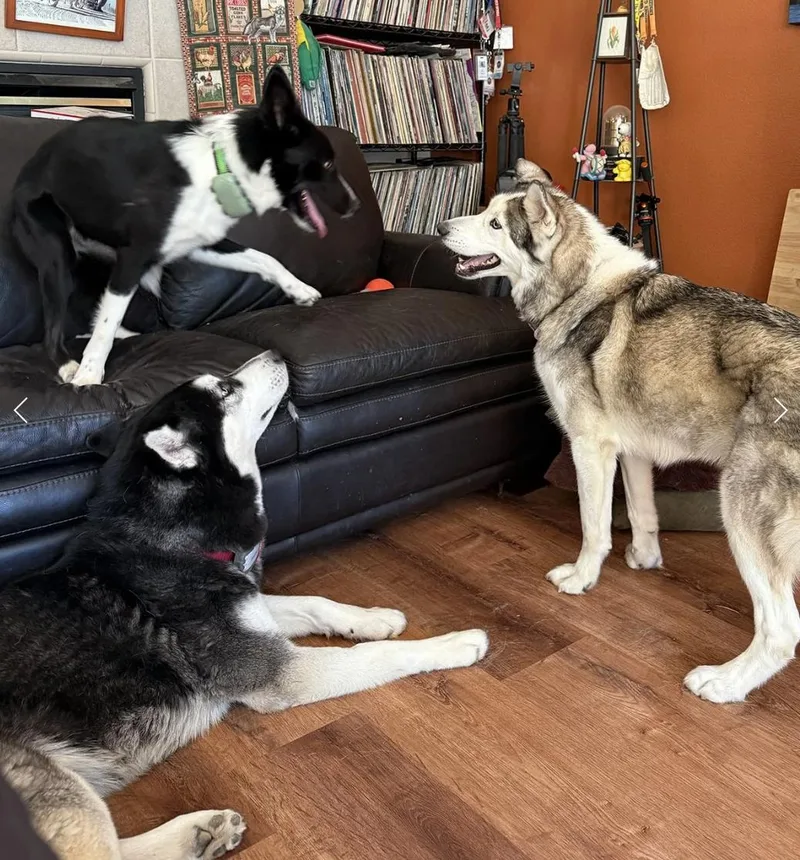 Dr. Pepper thumbnail 4