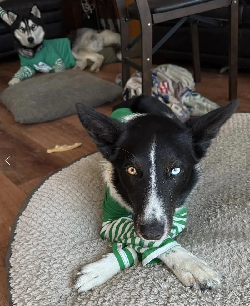 Dr. Pepper thumbnail 5