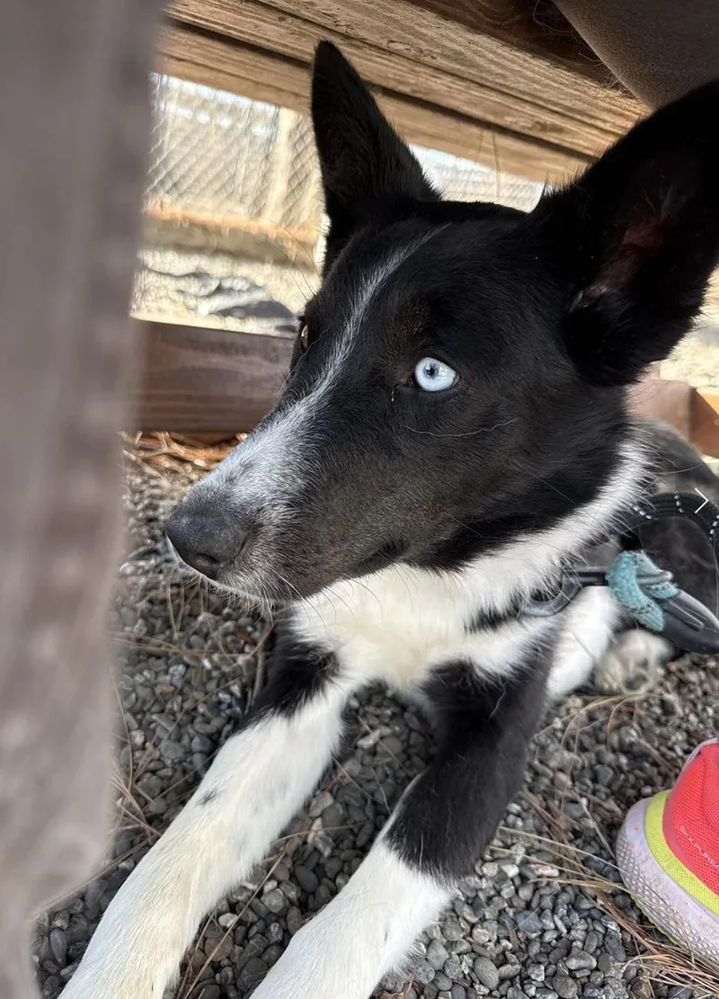 Dr. Pepper thumbnail 6