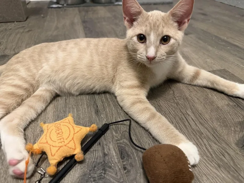 Derek Shepard thumbnail 2