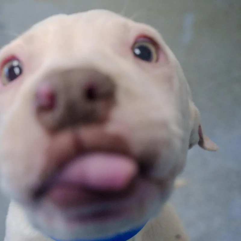 Braddock thumbnail 5