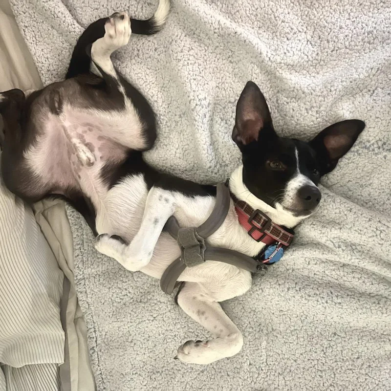 Owen Wilson thumbnail 2