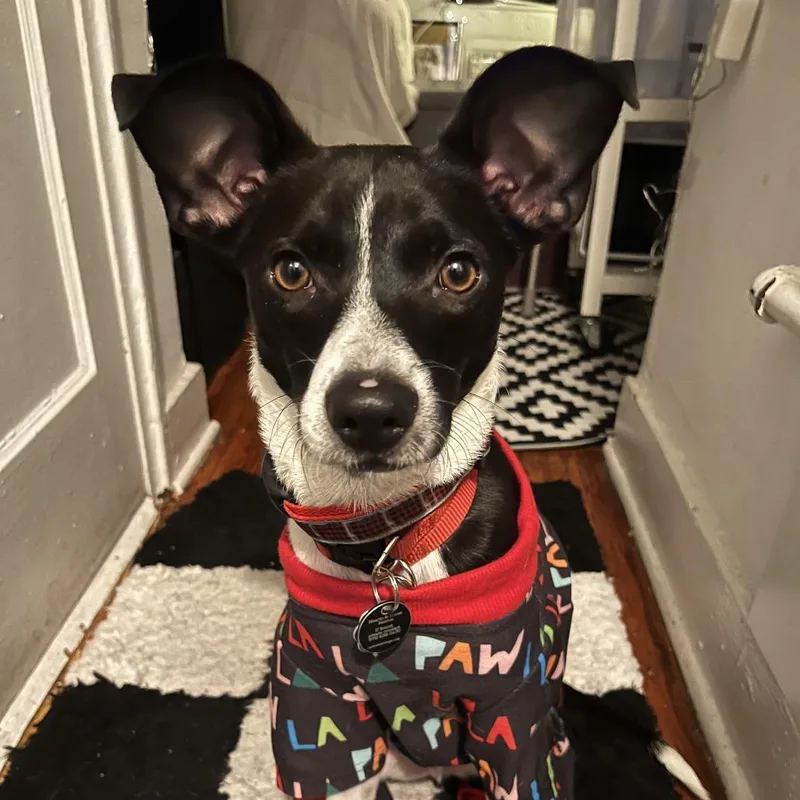 Owen Wilson thumbnail 3