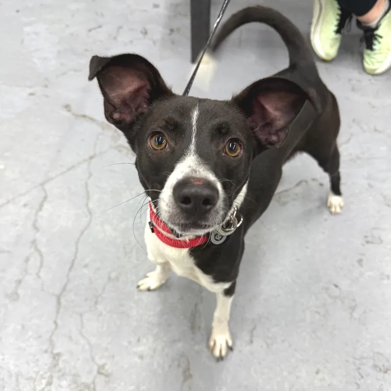 Owen Wilson thumbnail 4