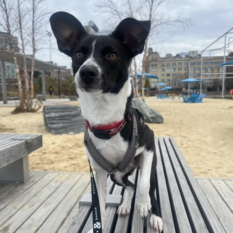 Owen Wilson thumbnail 5