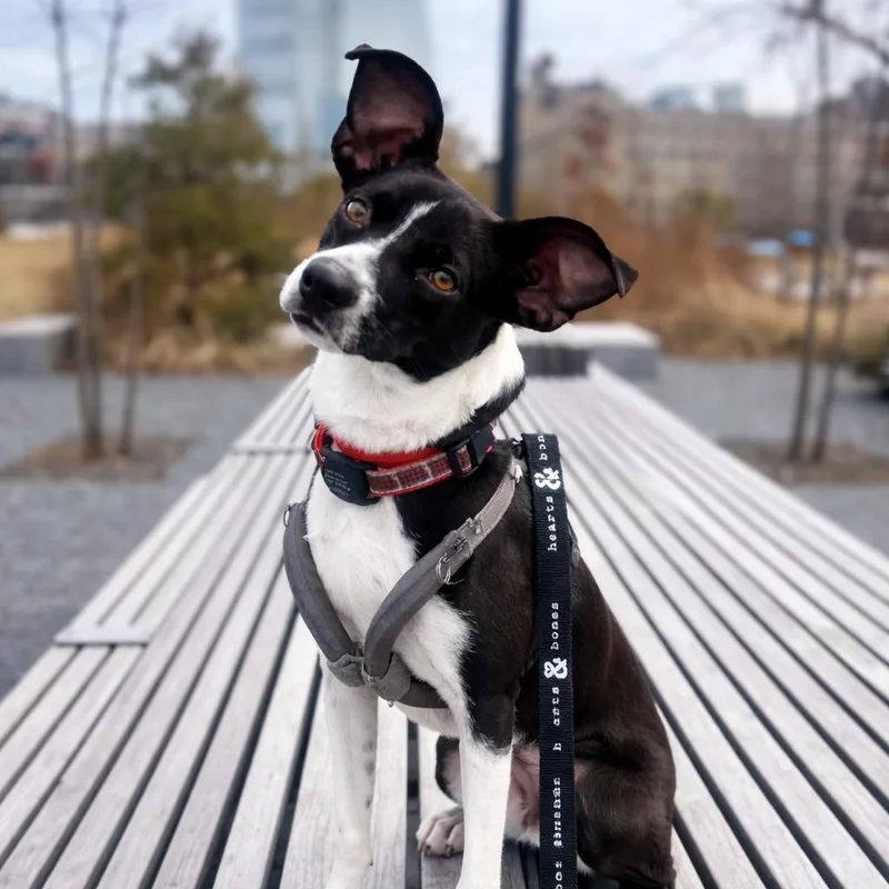 Owen Wilson thumbnail 6