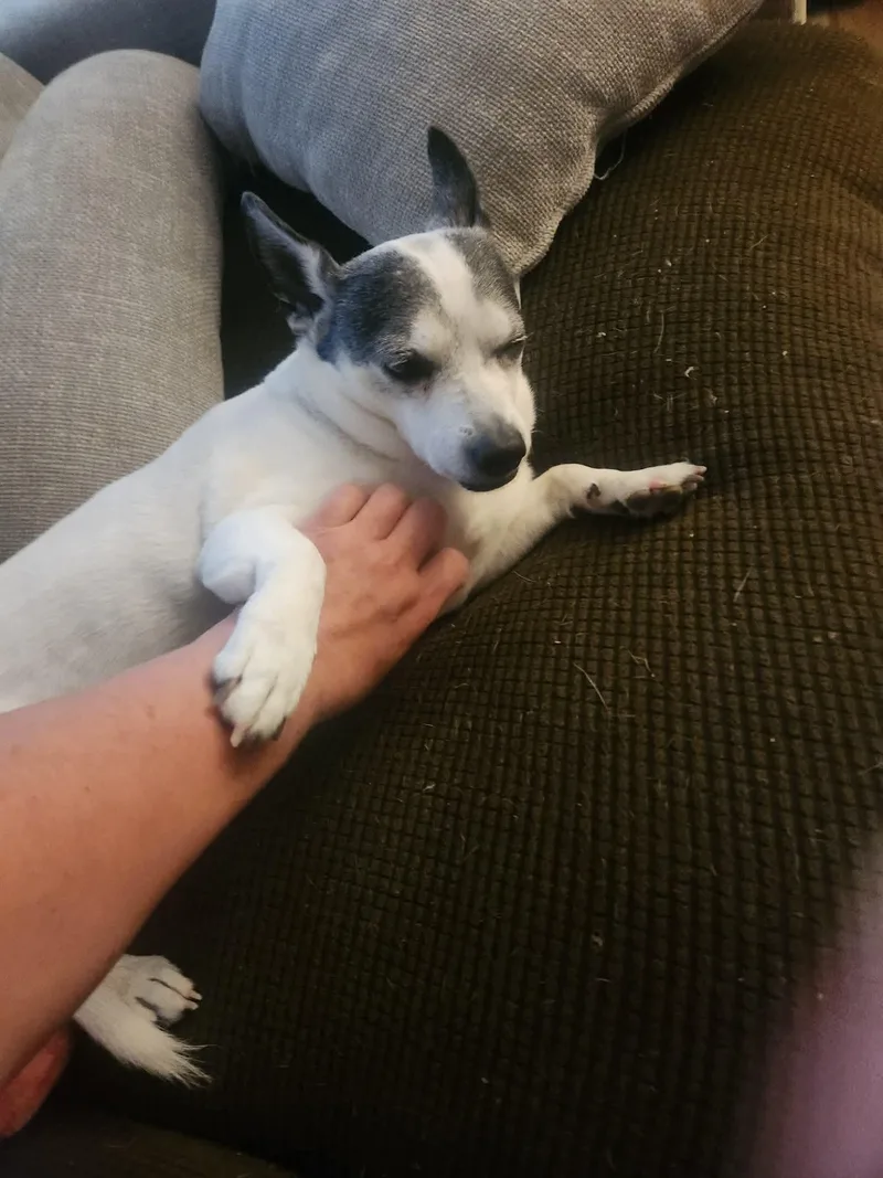 Rico