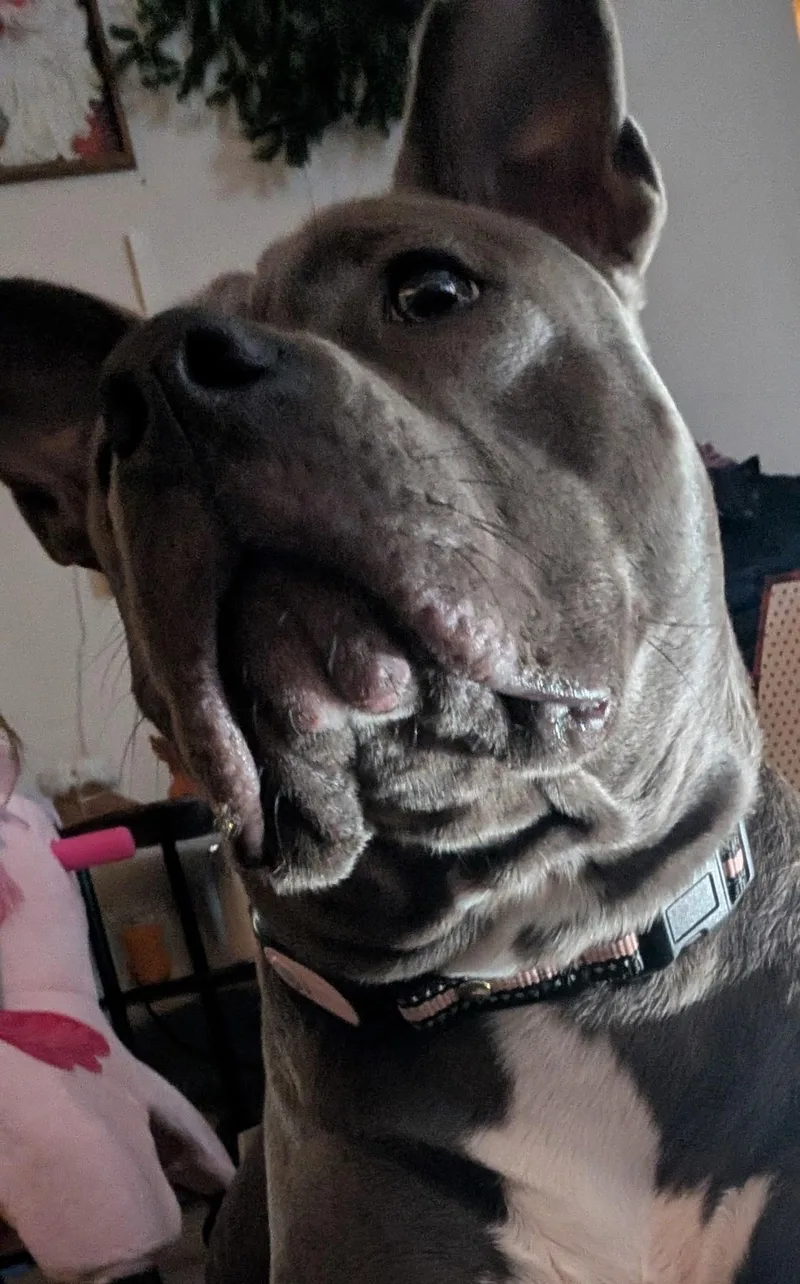 Winifred