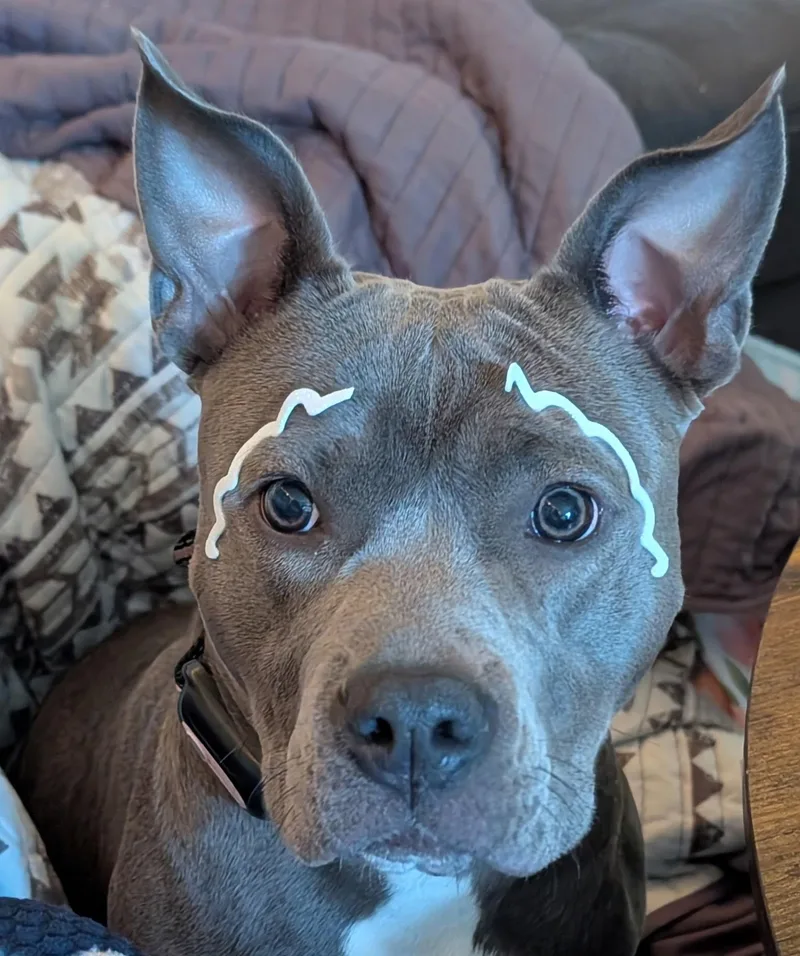 Winifred thumbnail 2