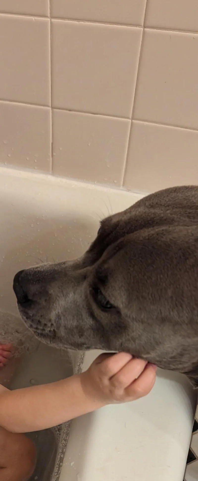 Winifred thumbnail 4