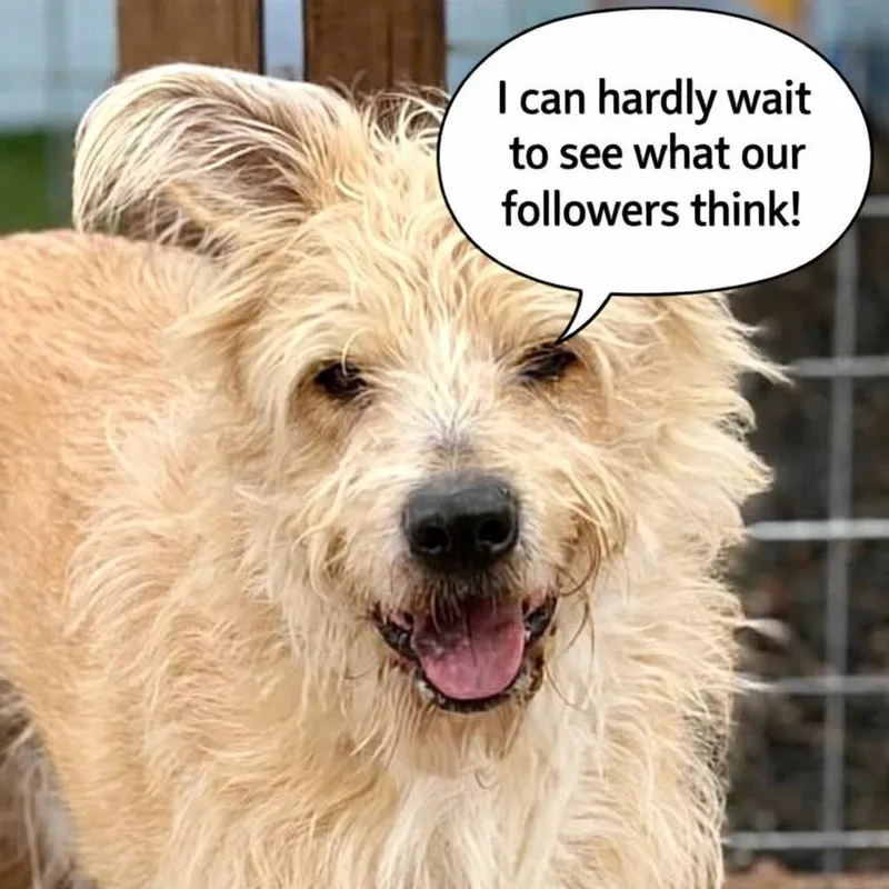 Sprocket thumbnail 2