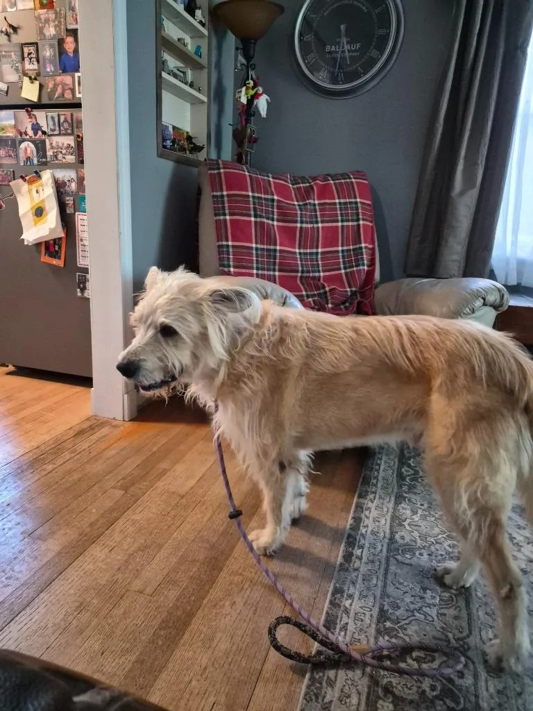 Sprocket thumbnail 4