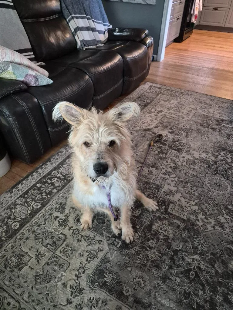 Sprocket thumbnail 6