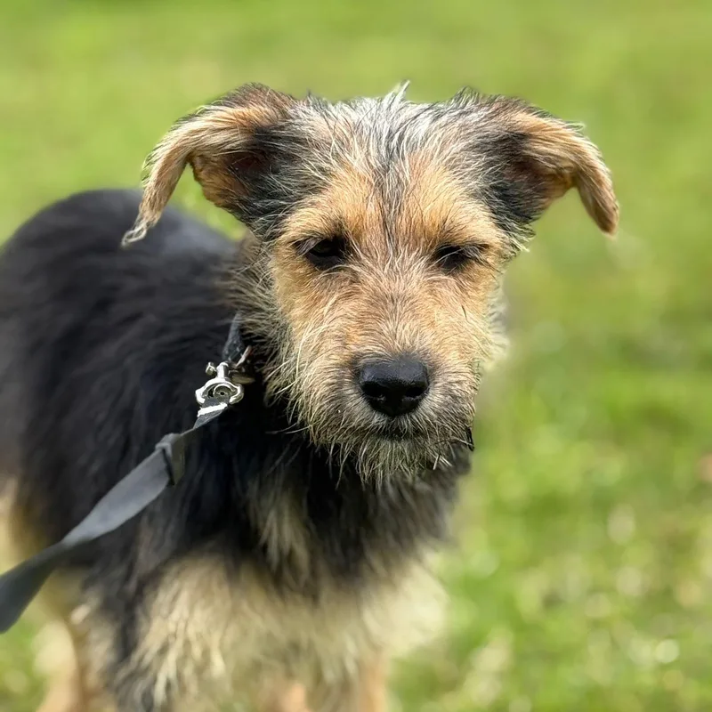 Fruit Loops “fruit Loops: thumbnail 3