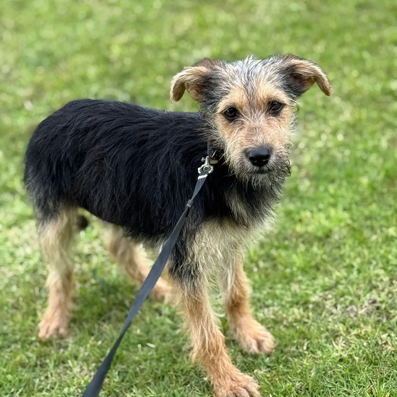 Fruit Loops “fruit Loops: thumbnail 5