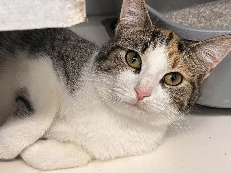 Galadriel  "gal" thumbnail 2