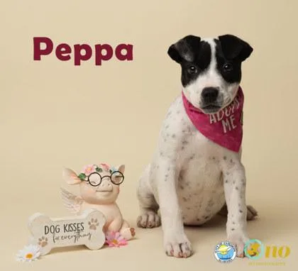Peppa