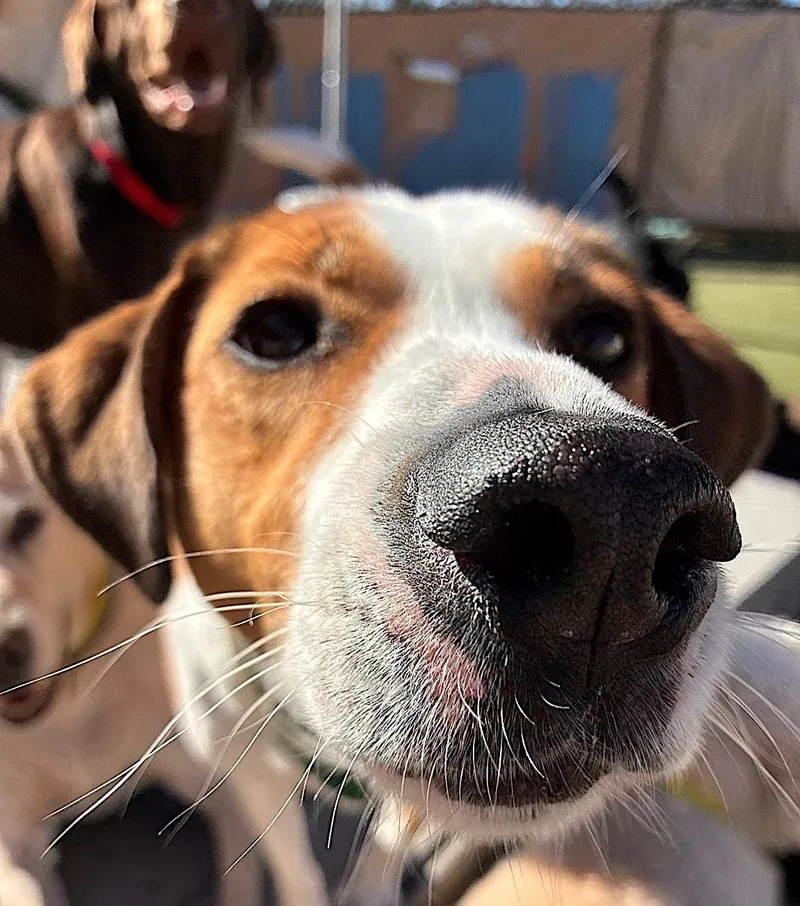 Gracie Mae thumbnail 5