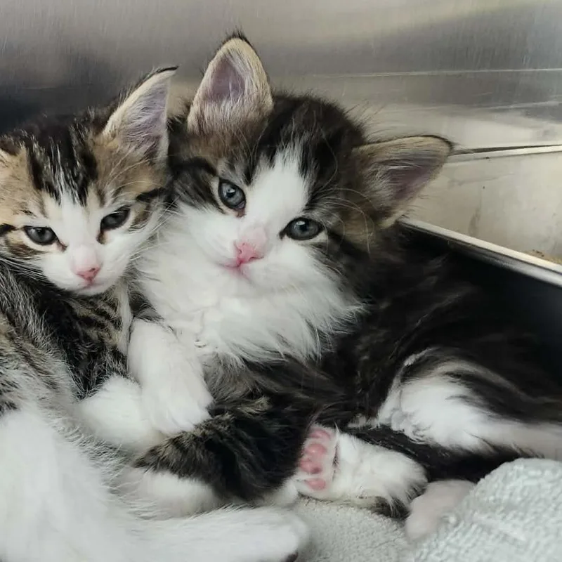 Christopher thumbnail 3