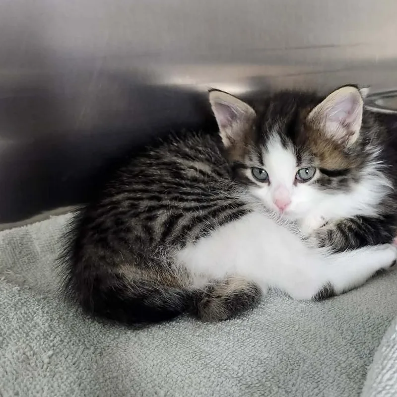 Christopher thumbnail 6