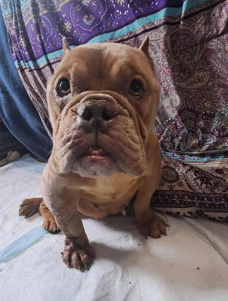 Betty thumbnail 2