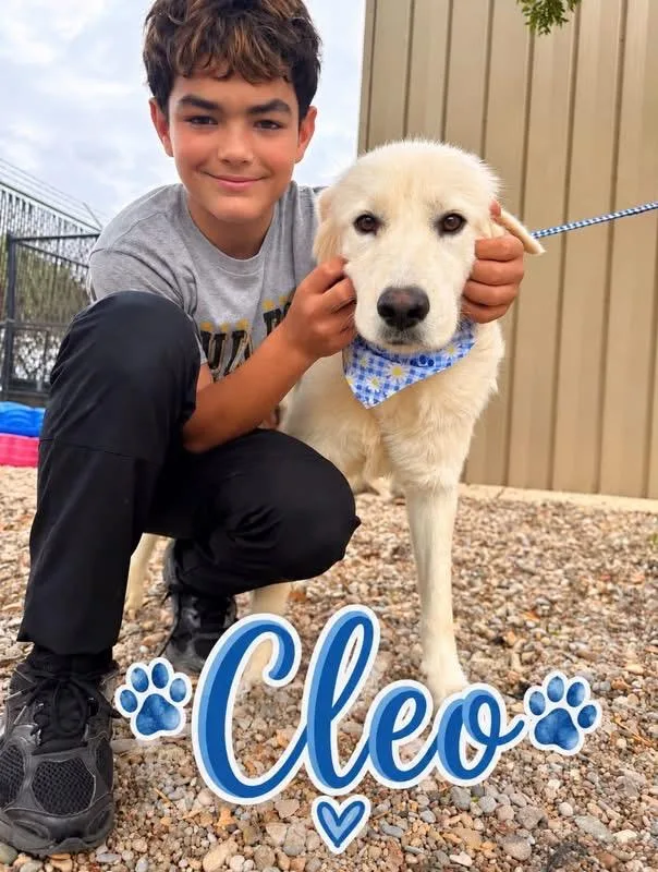 Cleo thumbnail 4