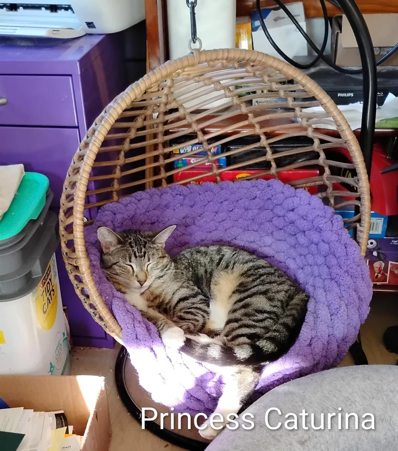 Princess Caturina thumbnail 2