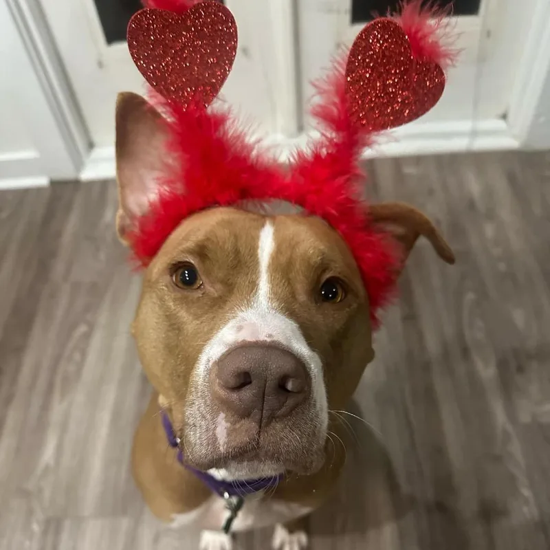 Winifred thumbnail 2