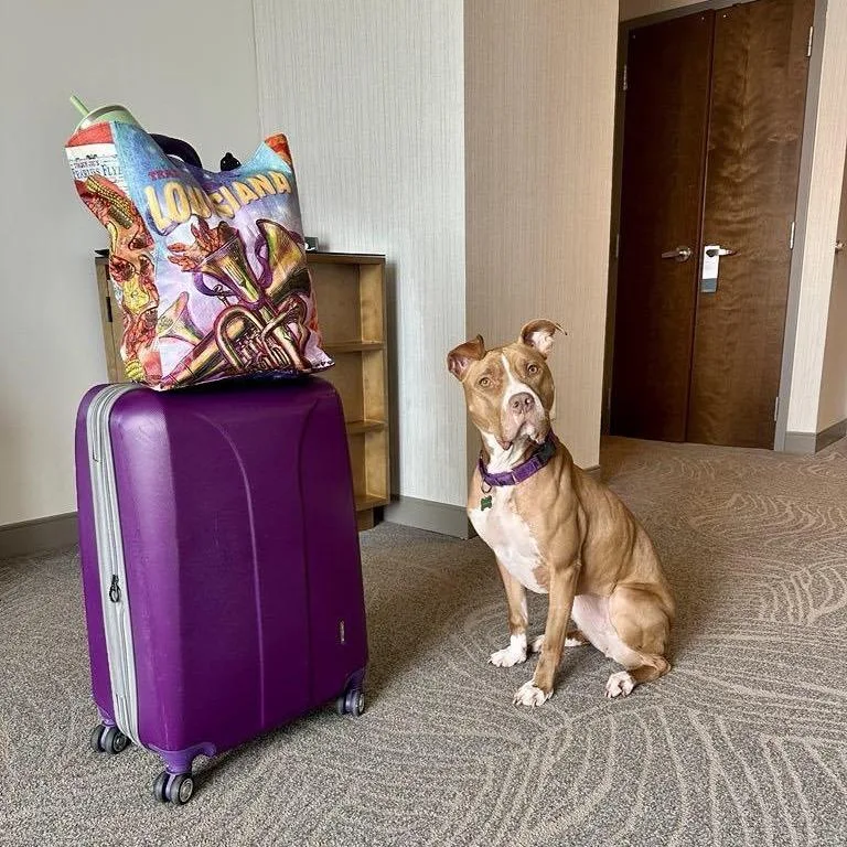 Winifred thumbnail 3