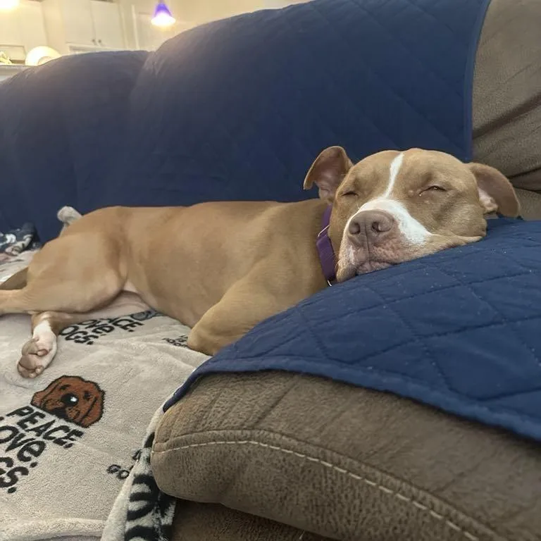 Winifred thumbnail 4