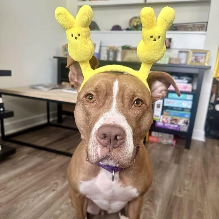 Winifred thumbnail 5