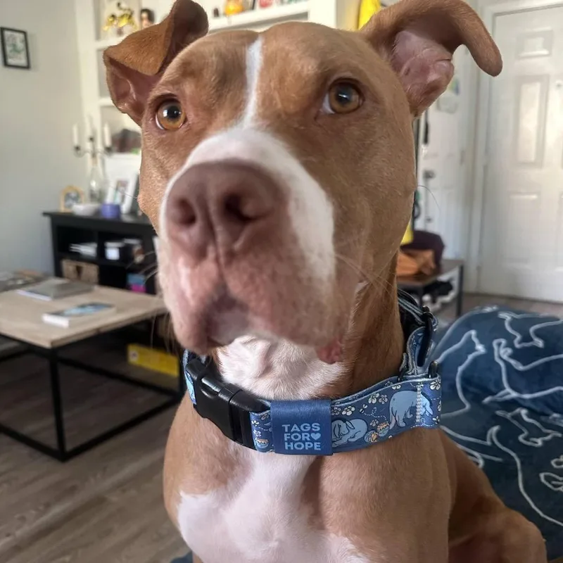 Winifred thumbnail 6