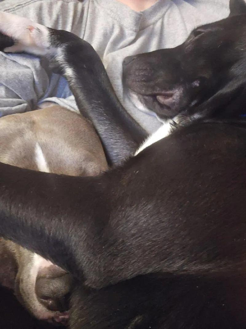 Theo thumbnail 5