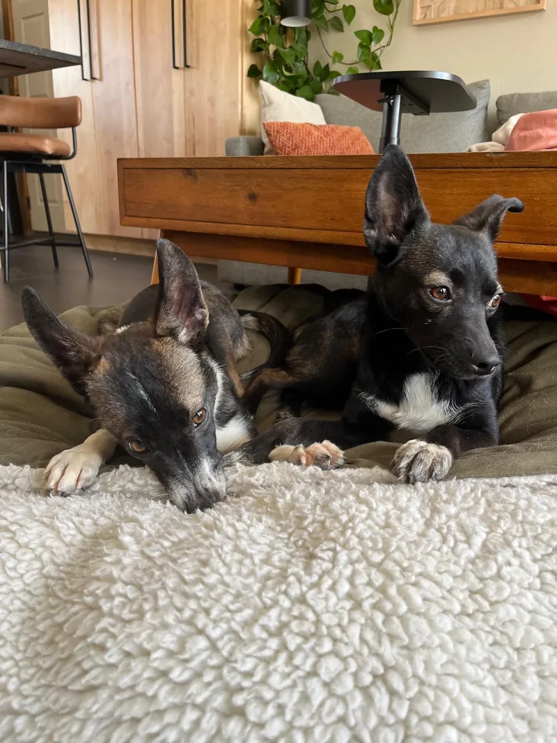 Faye Bonded With Anna