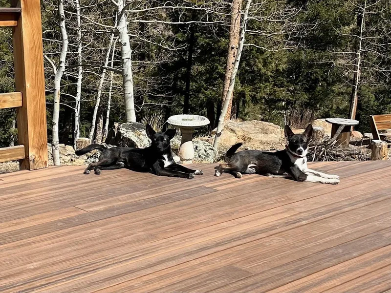 Faye Bonded With Anna thumbnail 2