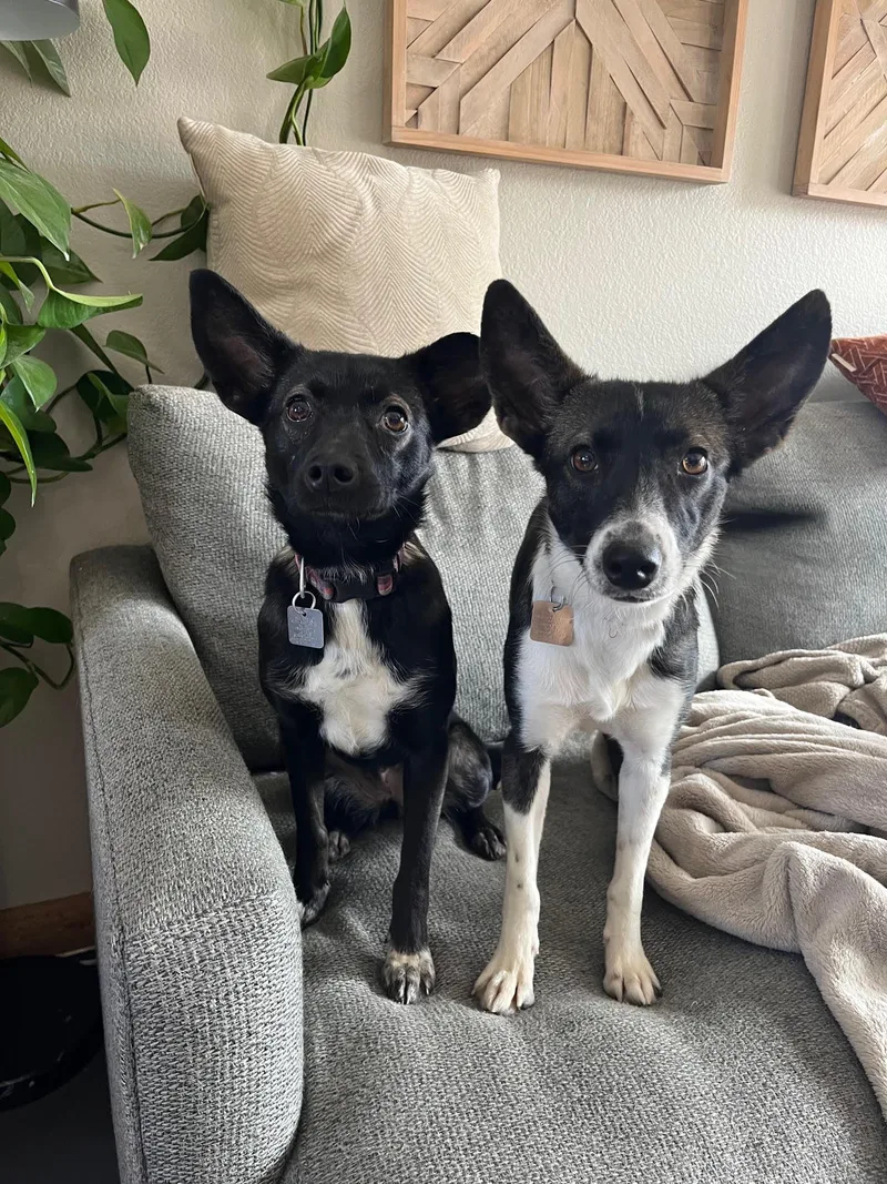 Faye Bonded With Anna thumbnail 3