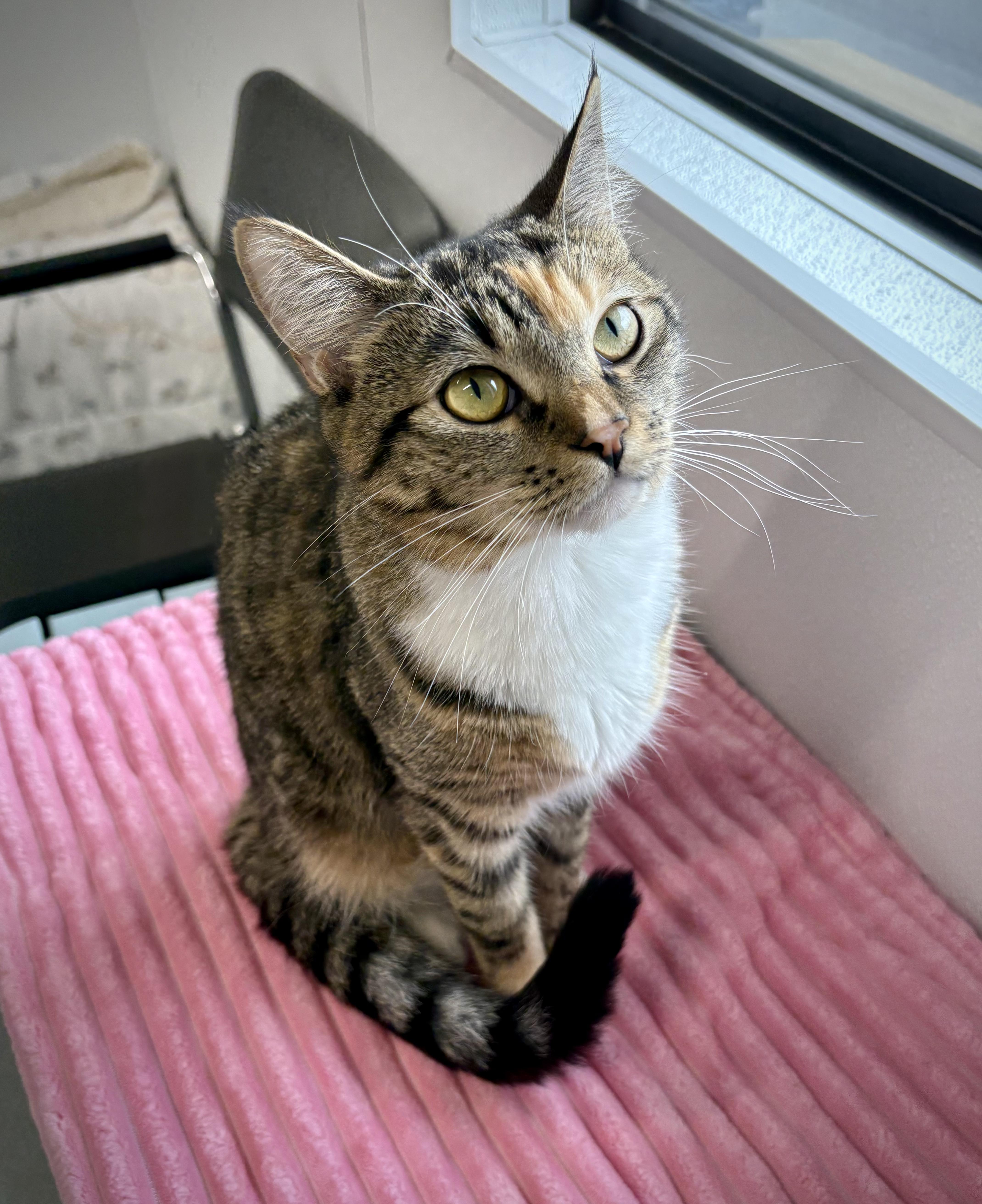 Margaret thumbnail 2