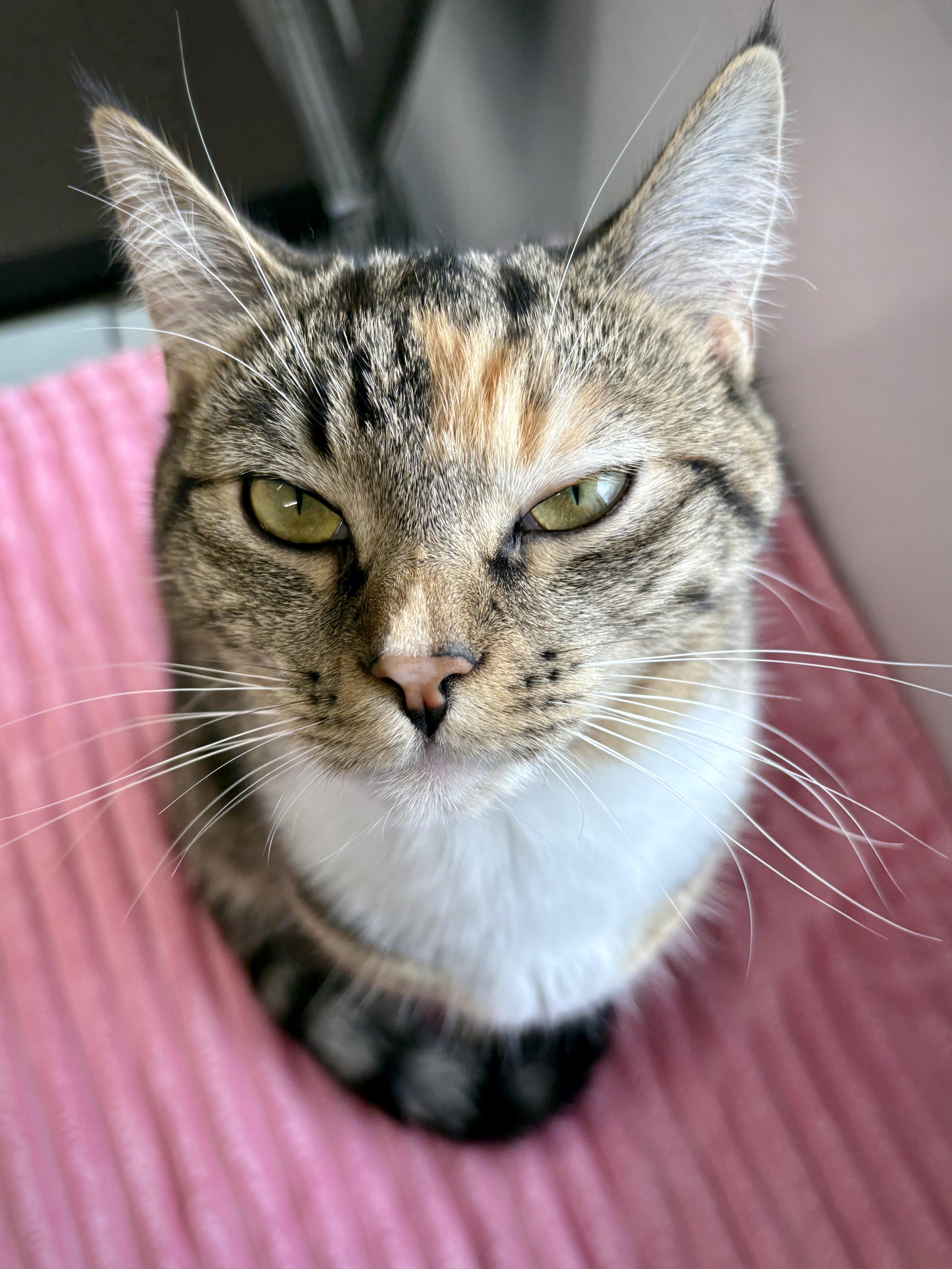 Margaret thumbnail 3