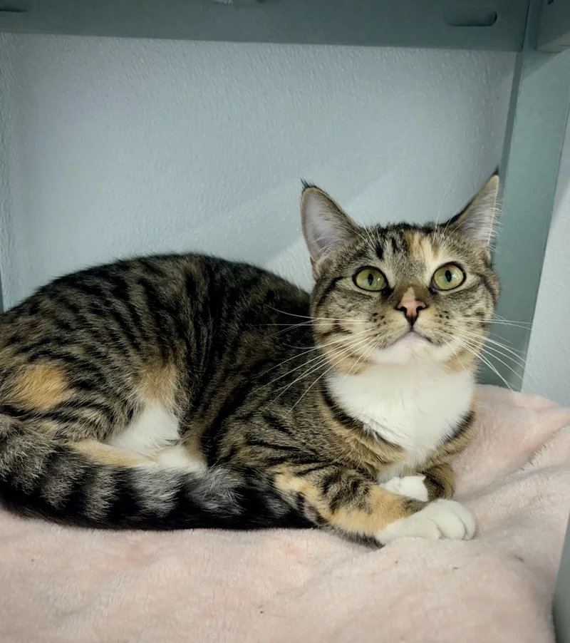 Margaret thumbnail 4