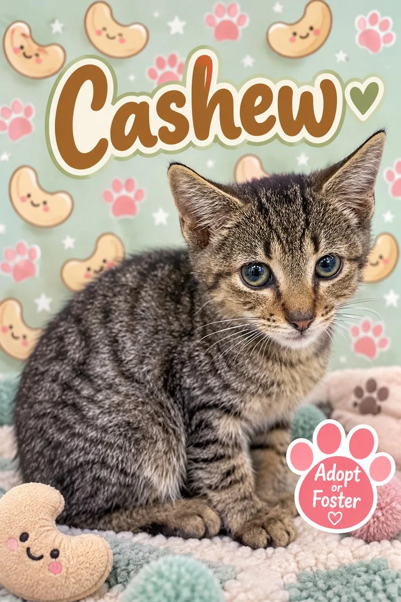 George fka Cashew thumbnail 3