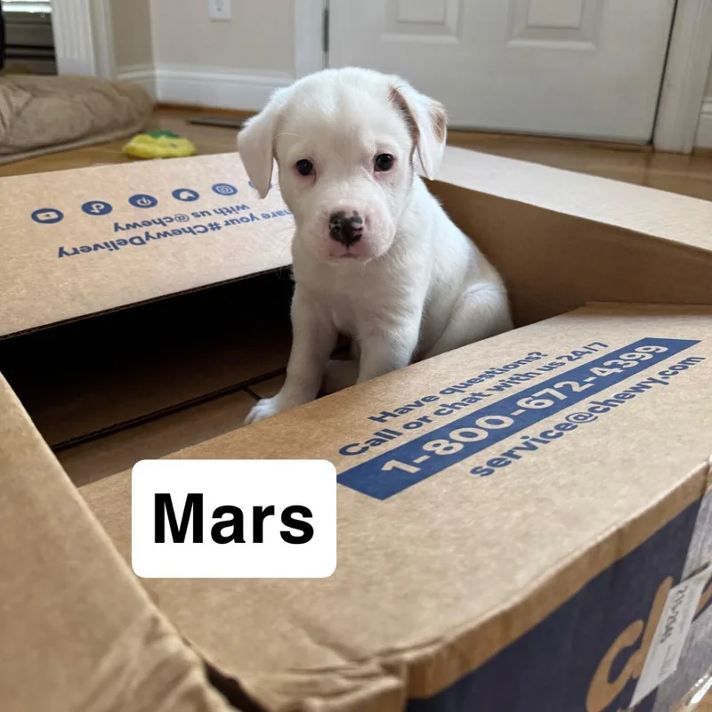 Mars thumbnail 3