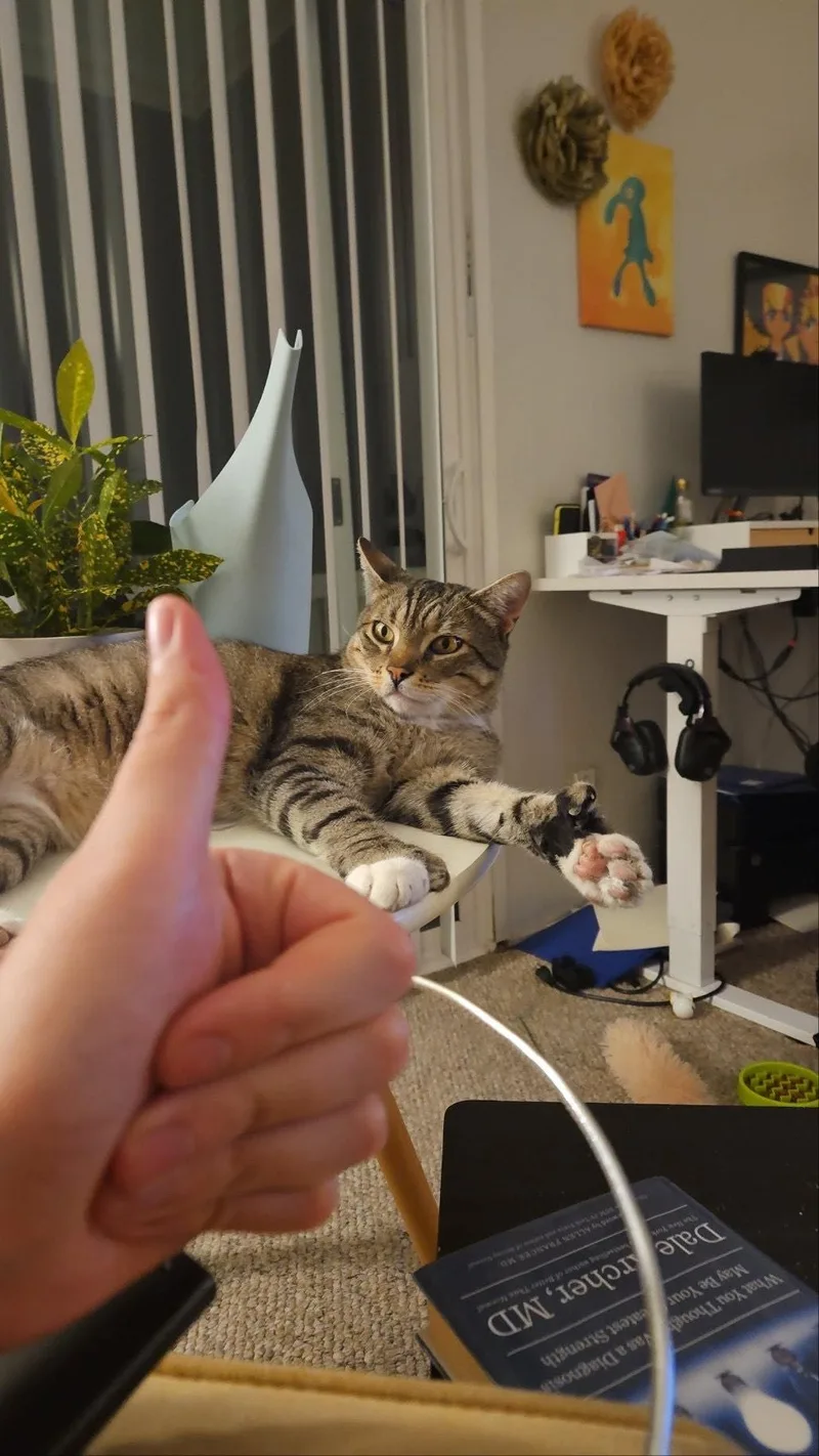 Huckleberry thumbnail 2