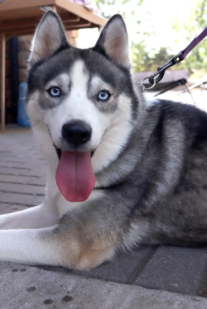 Mika thumbnail 3