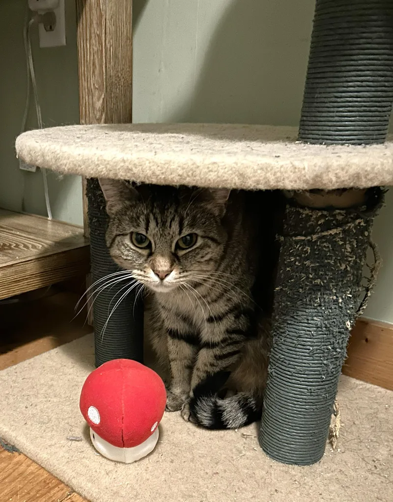 Rachel And Rosie thumbnail 2